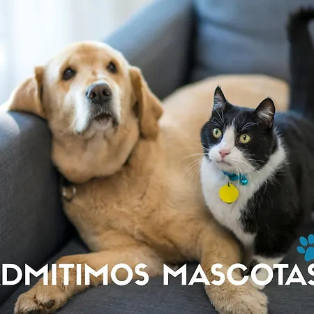 Apartamento Casa Limones 3000 Peñíscola